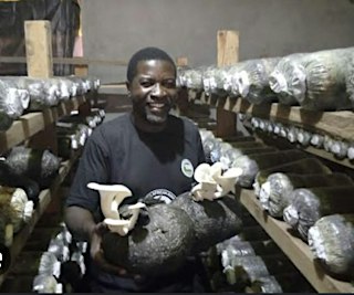 Mushroom Cultivation Workshop