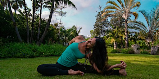 Gentle Vinyasa Yoga with Franci