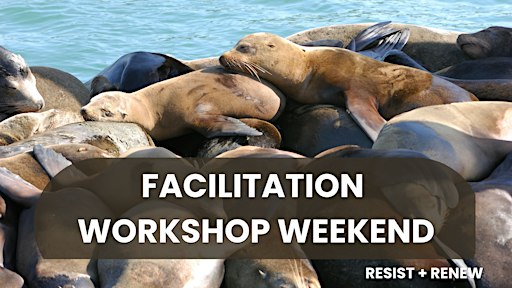 Facilitation Workshop Weekend - London