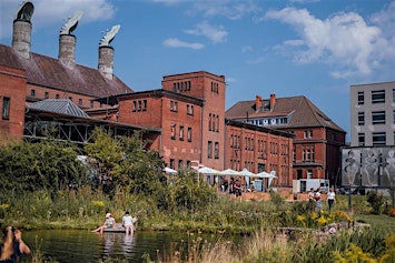 Wildkräuter auf dem Gelände der Malzfabrik