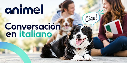 Aprende italiano conversando, jugando y disfrutando
