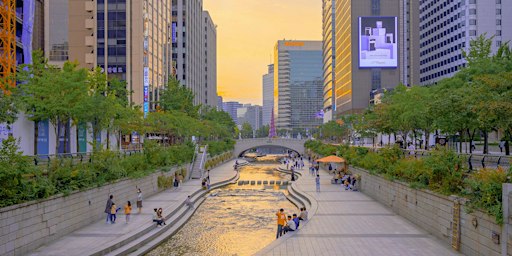 Solo travellers: casual hangout in Seoul (4pm)