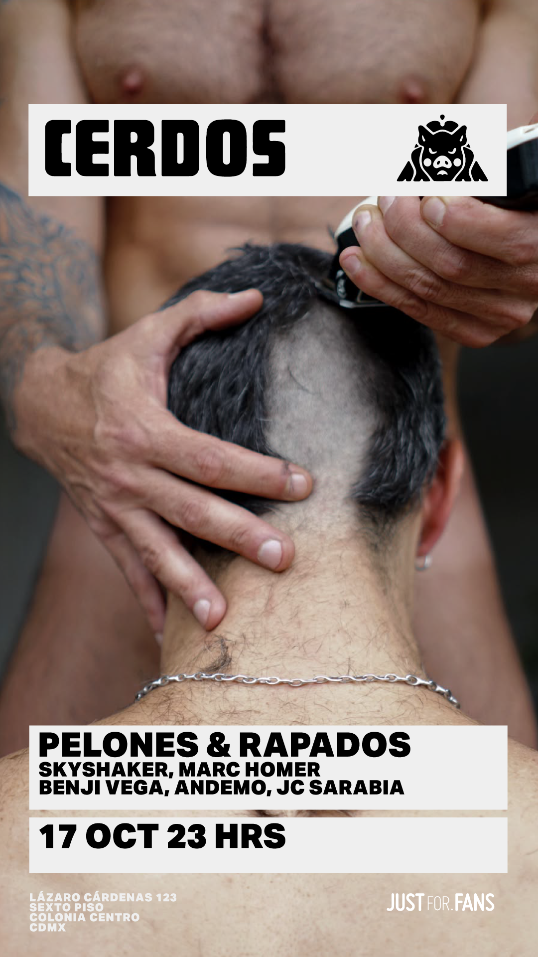 CERDOS: PELONES Y RAPADOS