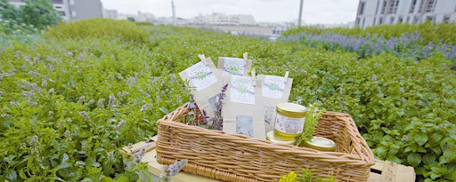 Journées du patrimoine - Atelier tisane