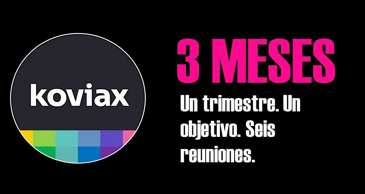 Membresia Koviax: Un objetivo · 3 meses · 6 reuniones