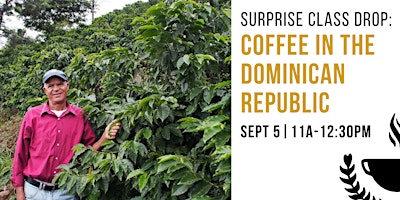 Coffee in the Dominican Republic