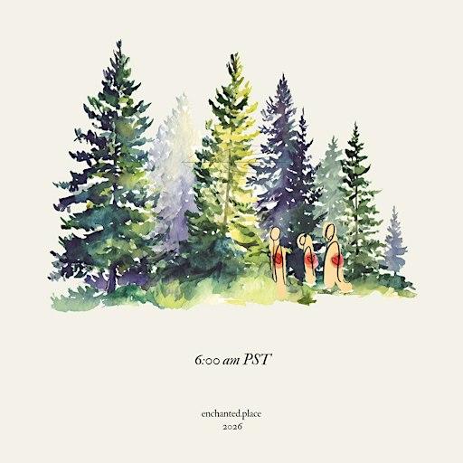 Sunrise Forest Walk & Run