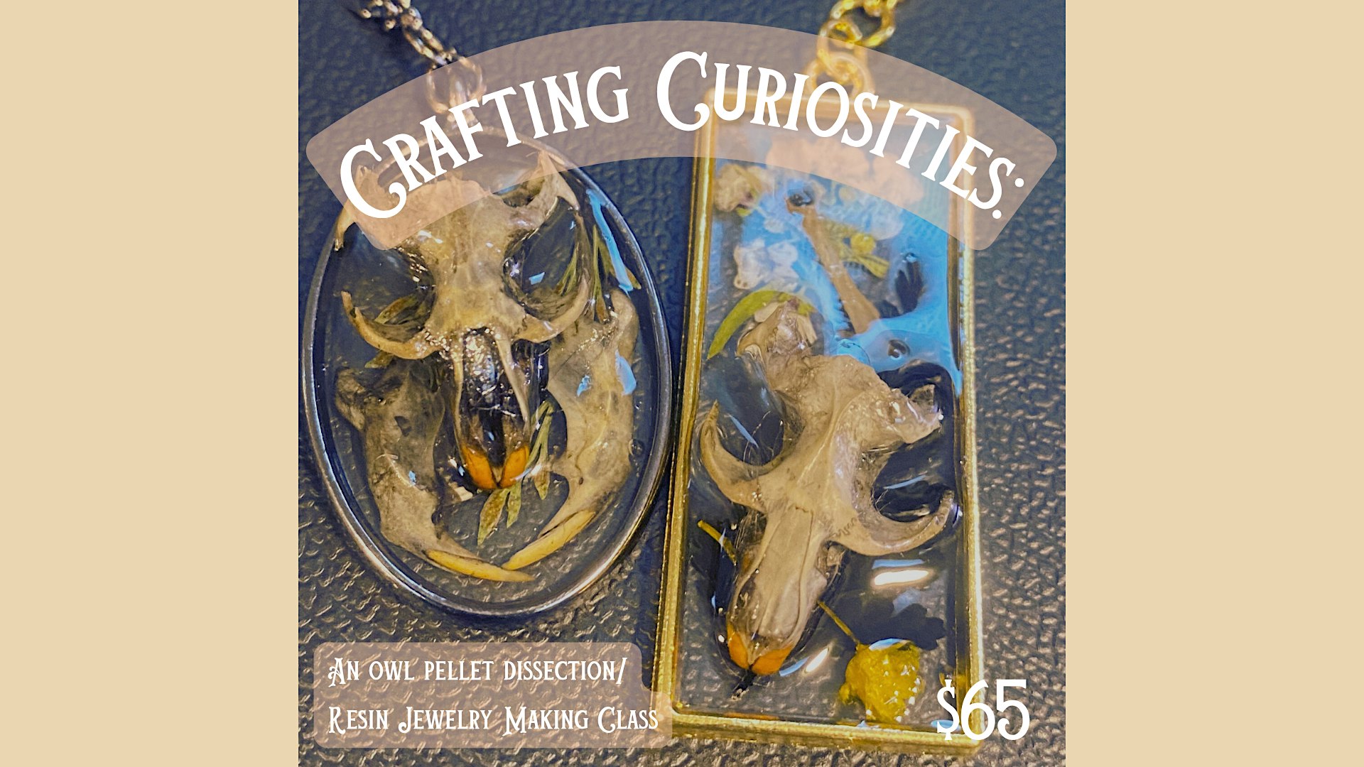 Crafting Curiosities: Owl Pellet Dissection/Jewelry Making Workshop