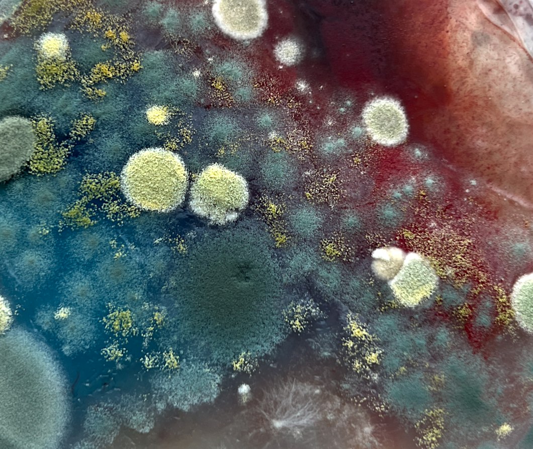 When Paintings Breathe - AISL Art Exhibition
