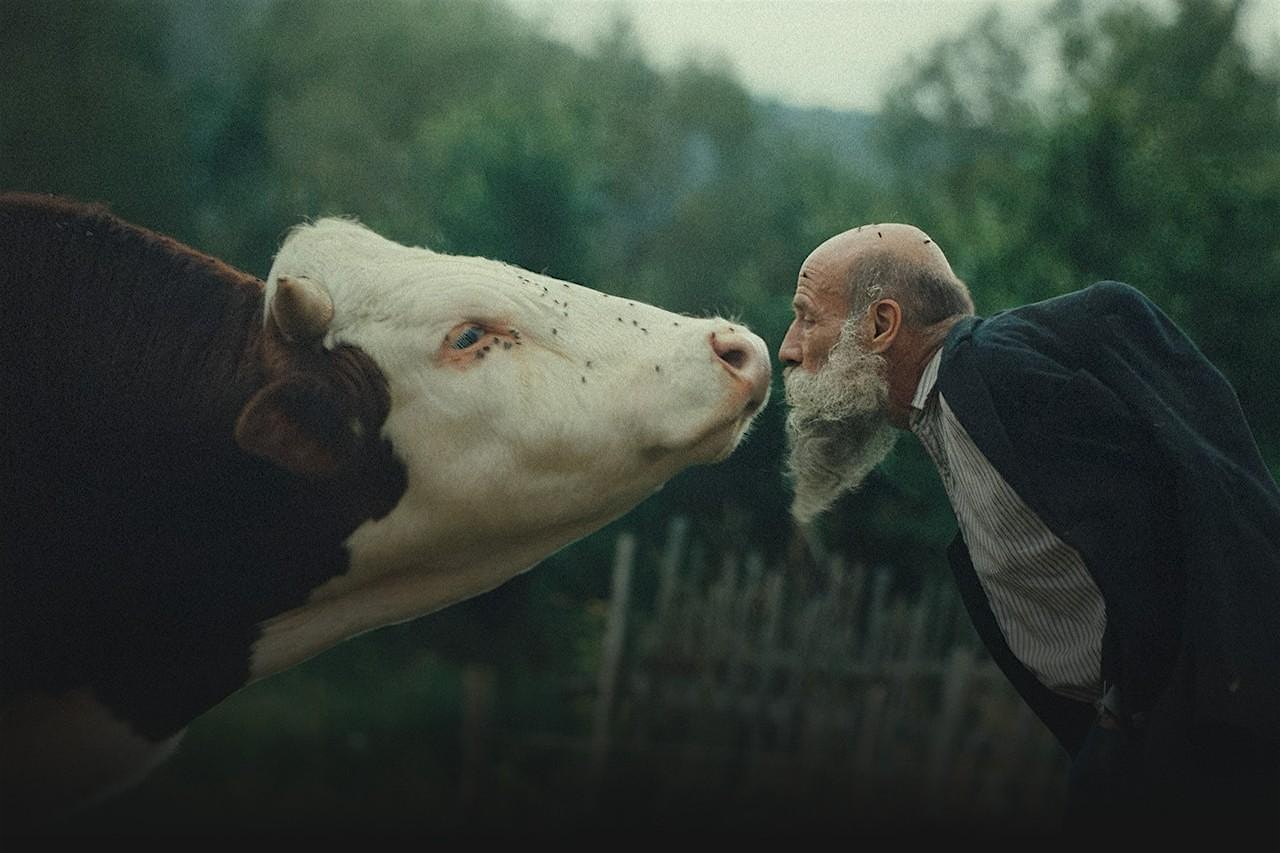 Better Go Mad in the Wild [screening]