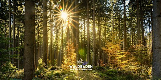 Waldbaden München