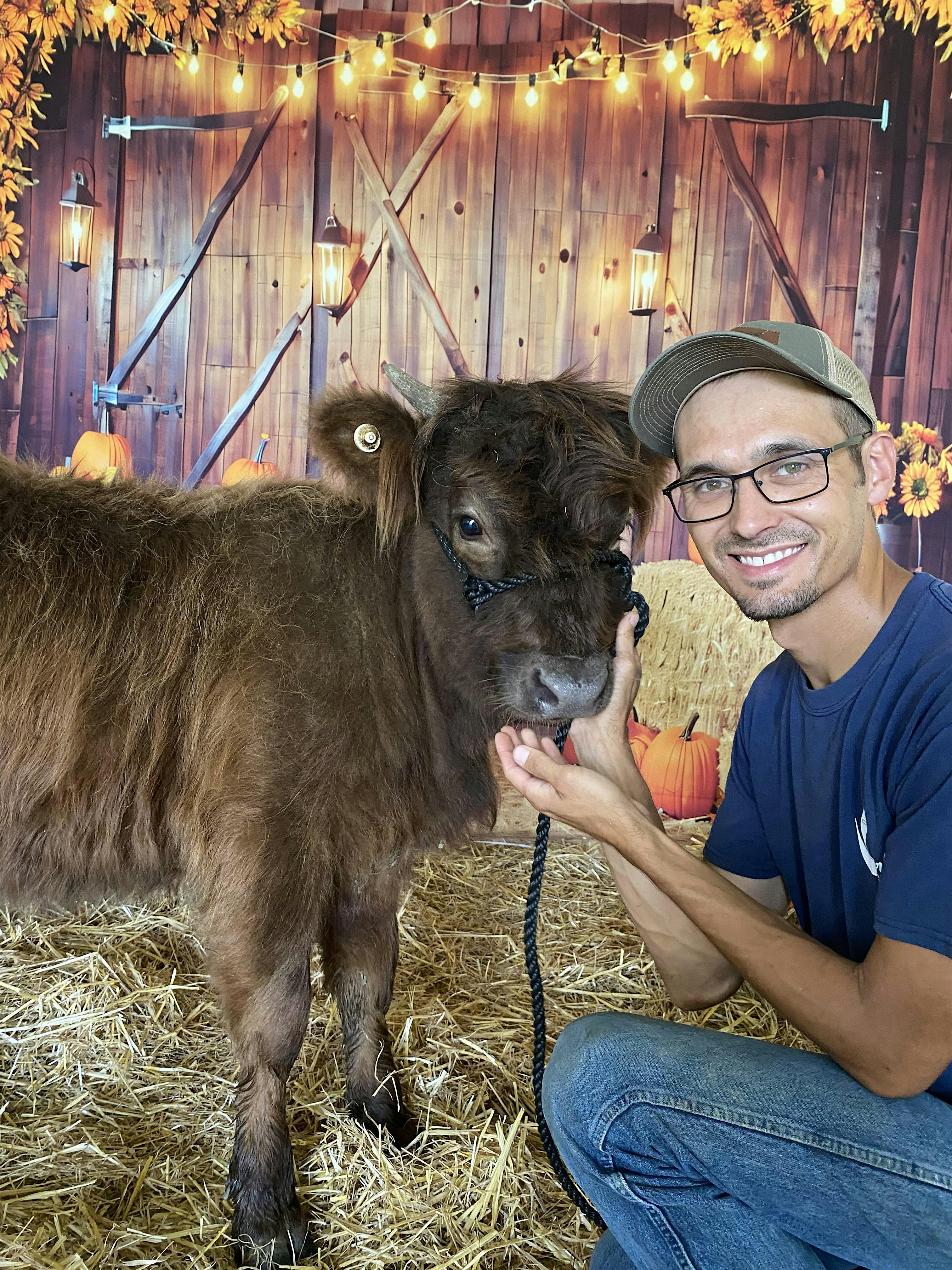 Fall Highland Cow Photo Experience