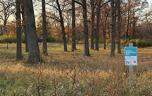 Fall Nature Walk at Palmer Park