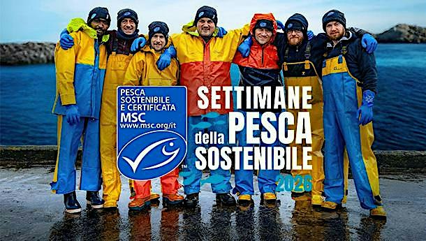 Dagli oceani al mercato: le scelte che contano.
