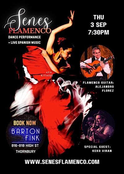 Senes flamenco- Live Spanish dance and music at Barton Fink!