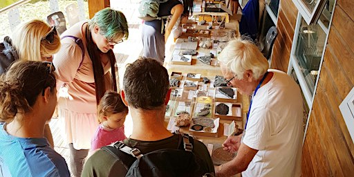 Somerset Earth Science Centre Museum & Open Day