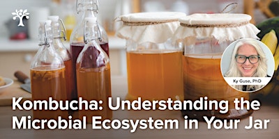 Kombucha: Understanding the Microbial Ecosystem in Your Jar