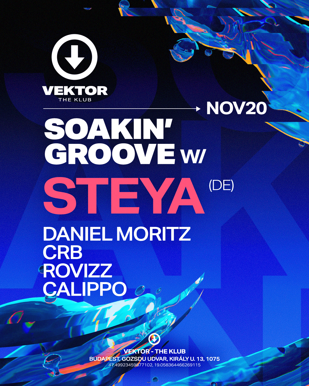 VEKTOR SOAKIN' GROOVE - STEYA (DE), Daniel Moritz, CRB, Rovizz, Calippo