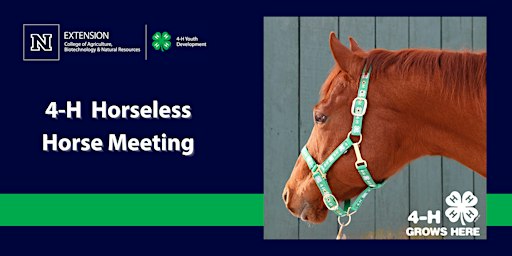 4-H Horseless Horse Series- Las Vegas