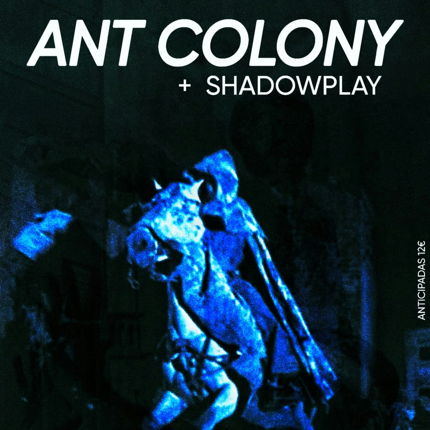 Halloween Special: Ant Colony + Shadowplay