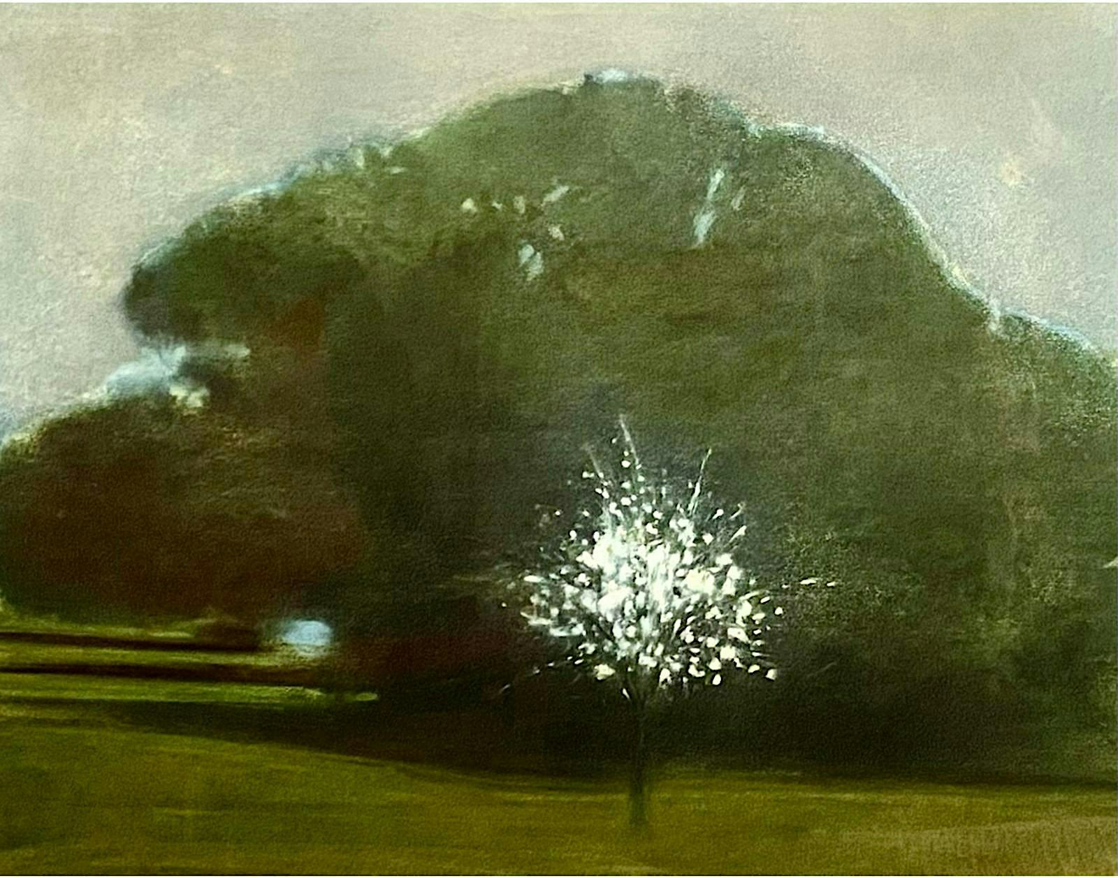 Mostra "Piero Guccione. Racconti dello sguardo"