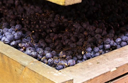 Amarone: Italy's dried Masterpiece