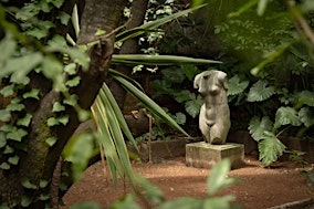 INMERSIONES CREATIVAS - CASA ORTEGA