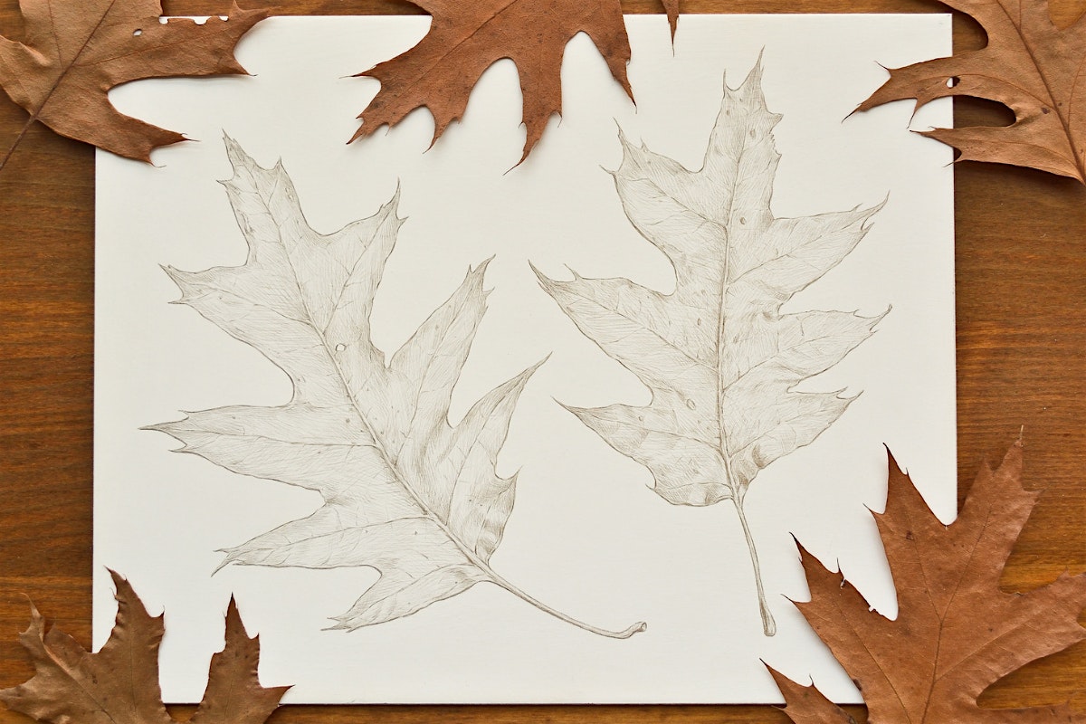 Introduction to Silverpoint Drawing