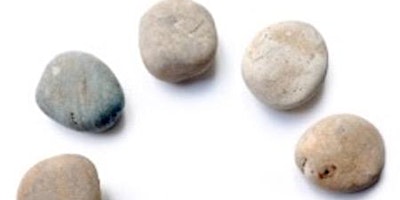 A Series of Led Retreat Days with Bristol Insight Meditation for 2026