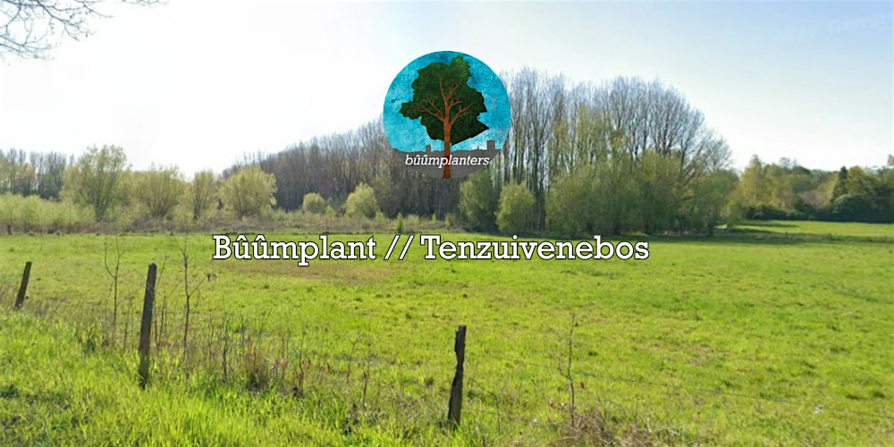 Bûûmplant // Tenzuivenebos (ma - nm)