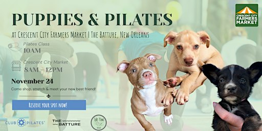 Puppies and Pilates!