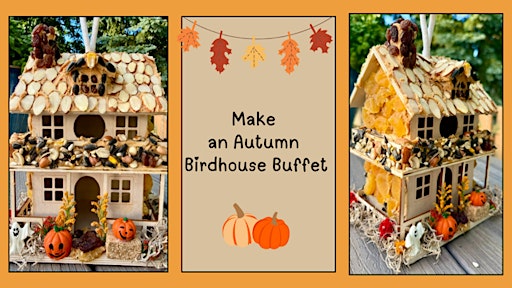 Make an Autumn Birdhouse Buffet