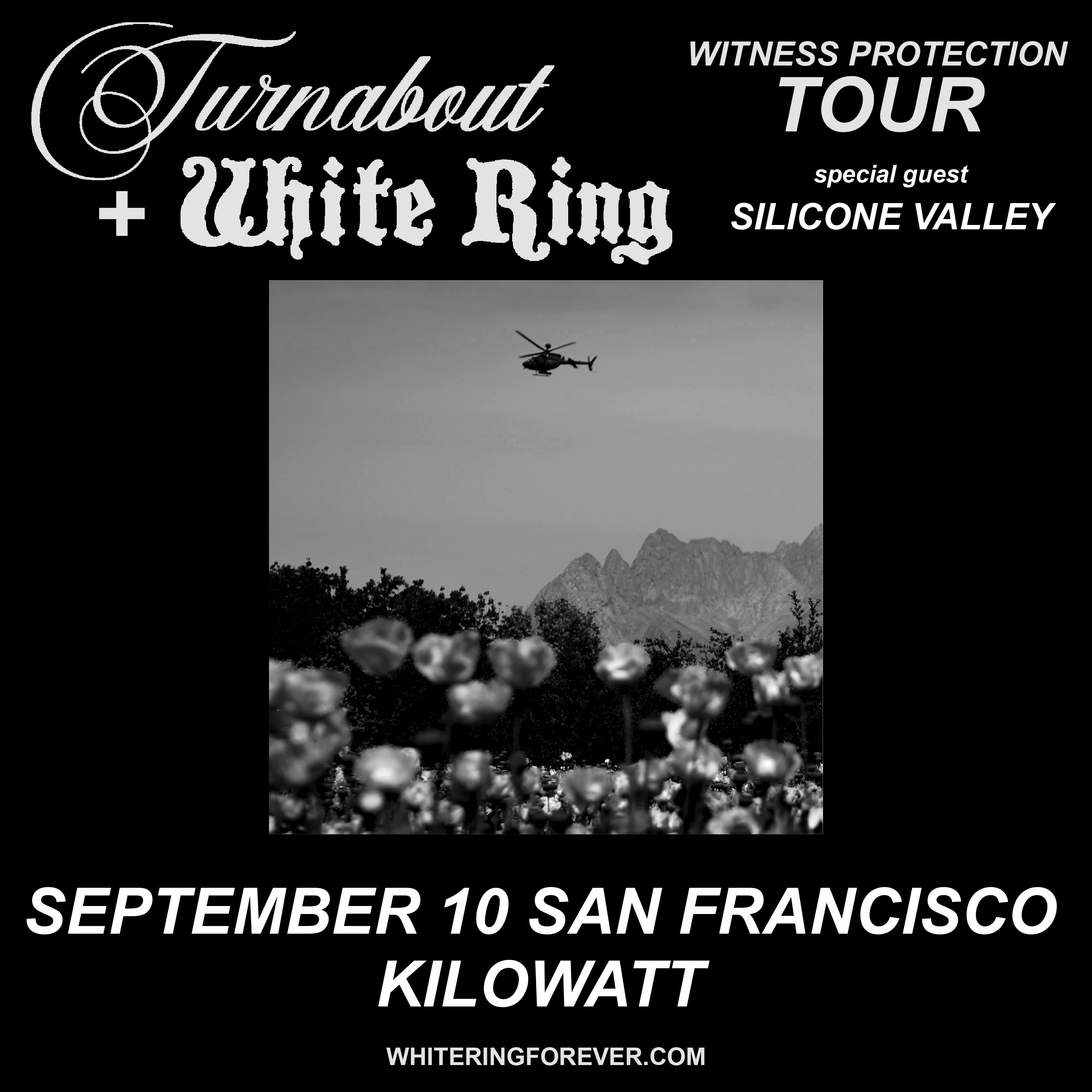 Turnabout + White Ring w/ Silicone Valley