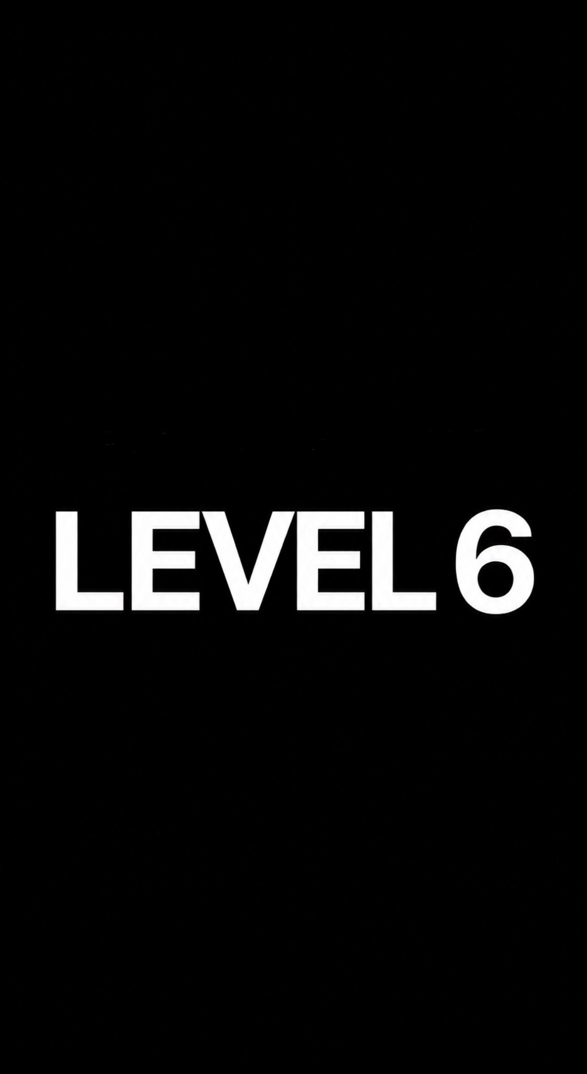 Level 6