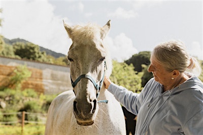 Sanar entre caballos