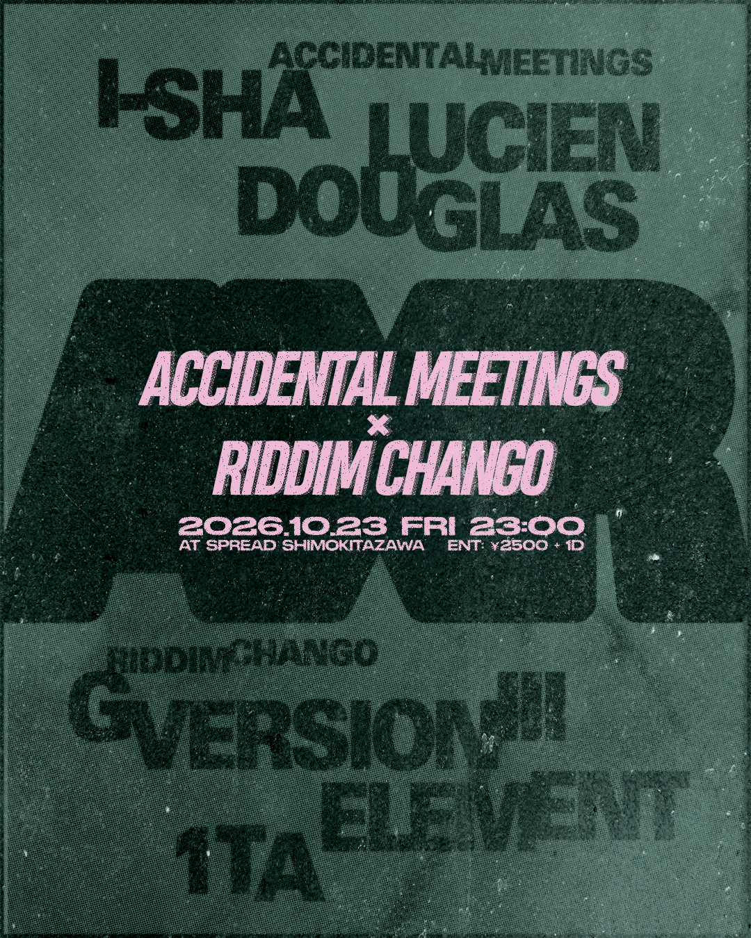 Accidental Meetings x Riddim Chango