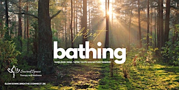 Forest Bathing | Tai Po Kau Nature Reserve