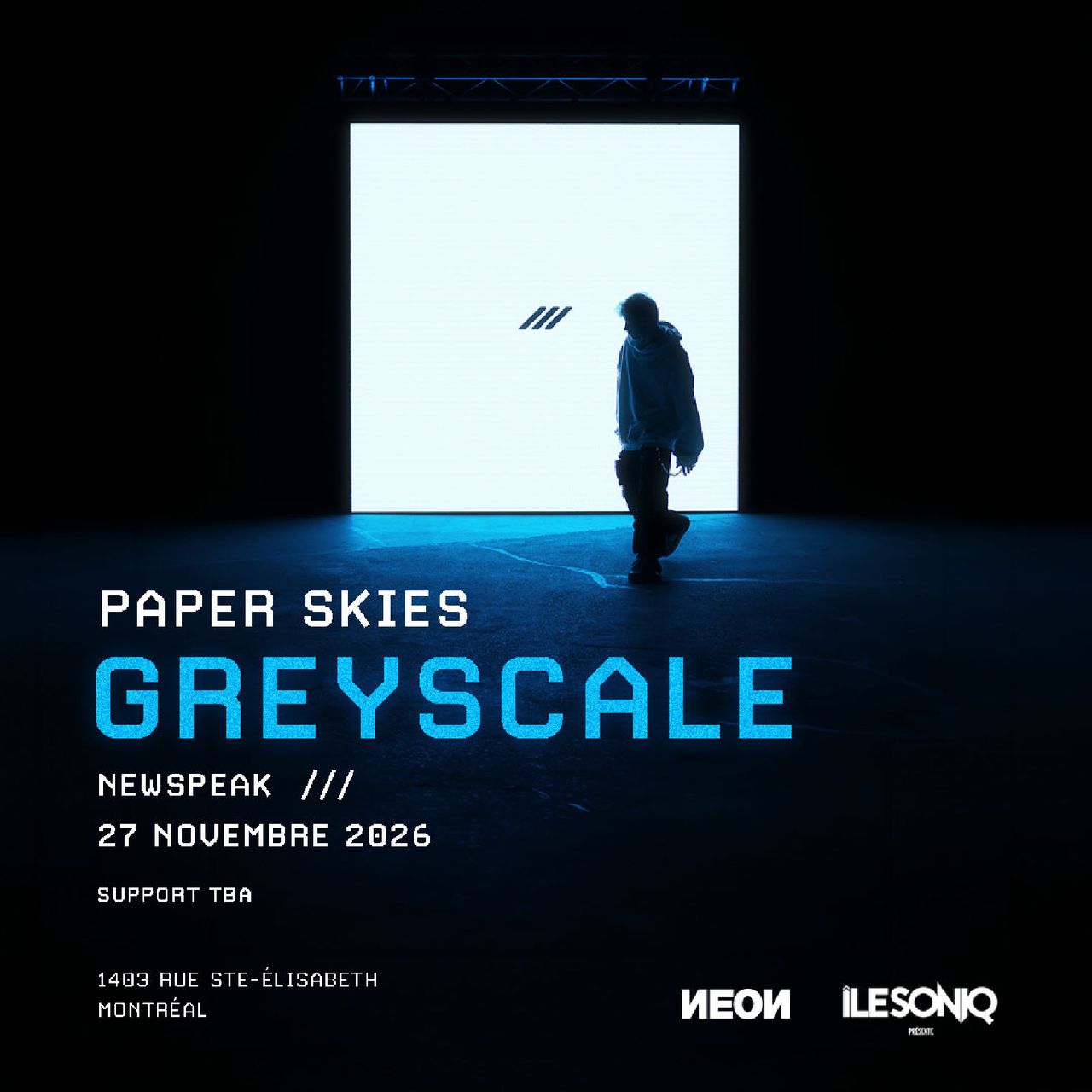 PAPER SKIES - GREYSCALE
