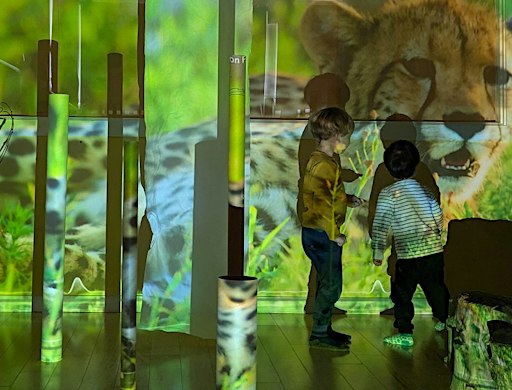 CIRC PreK presents: Environment ‒ Designing Possibilities