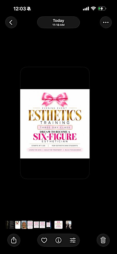 Six-Figure Esthetician: 1 Day Training , and Dermaplanning certification