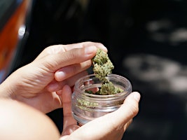Amsterdam: Private Cannabis Culture Tour with Coffeeshops