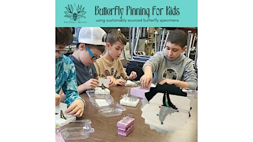 Butterfly Pinning for Kids ages 5-17