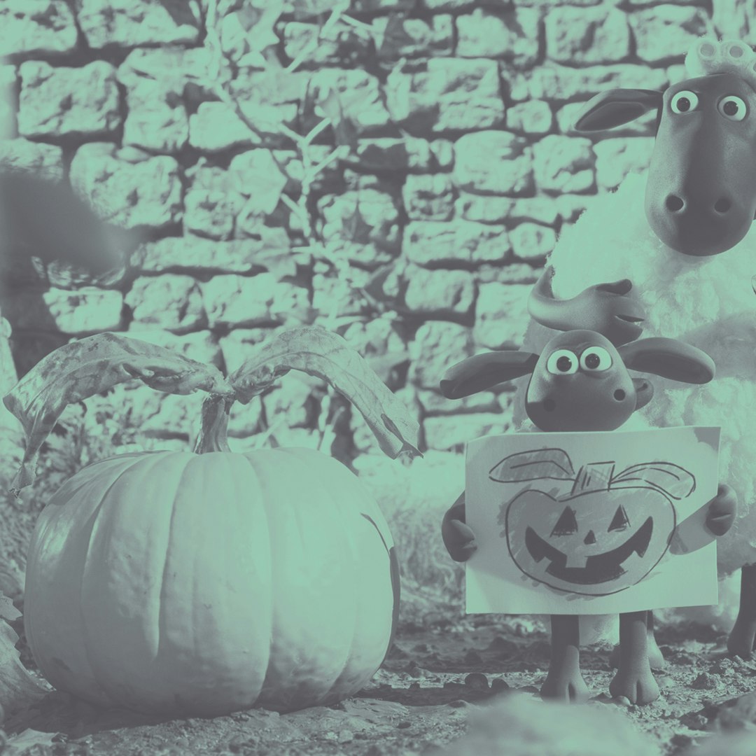 Shaun, Vita da pecora: Operazione Z.U.C.C.A.