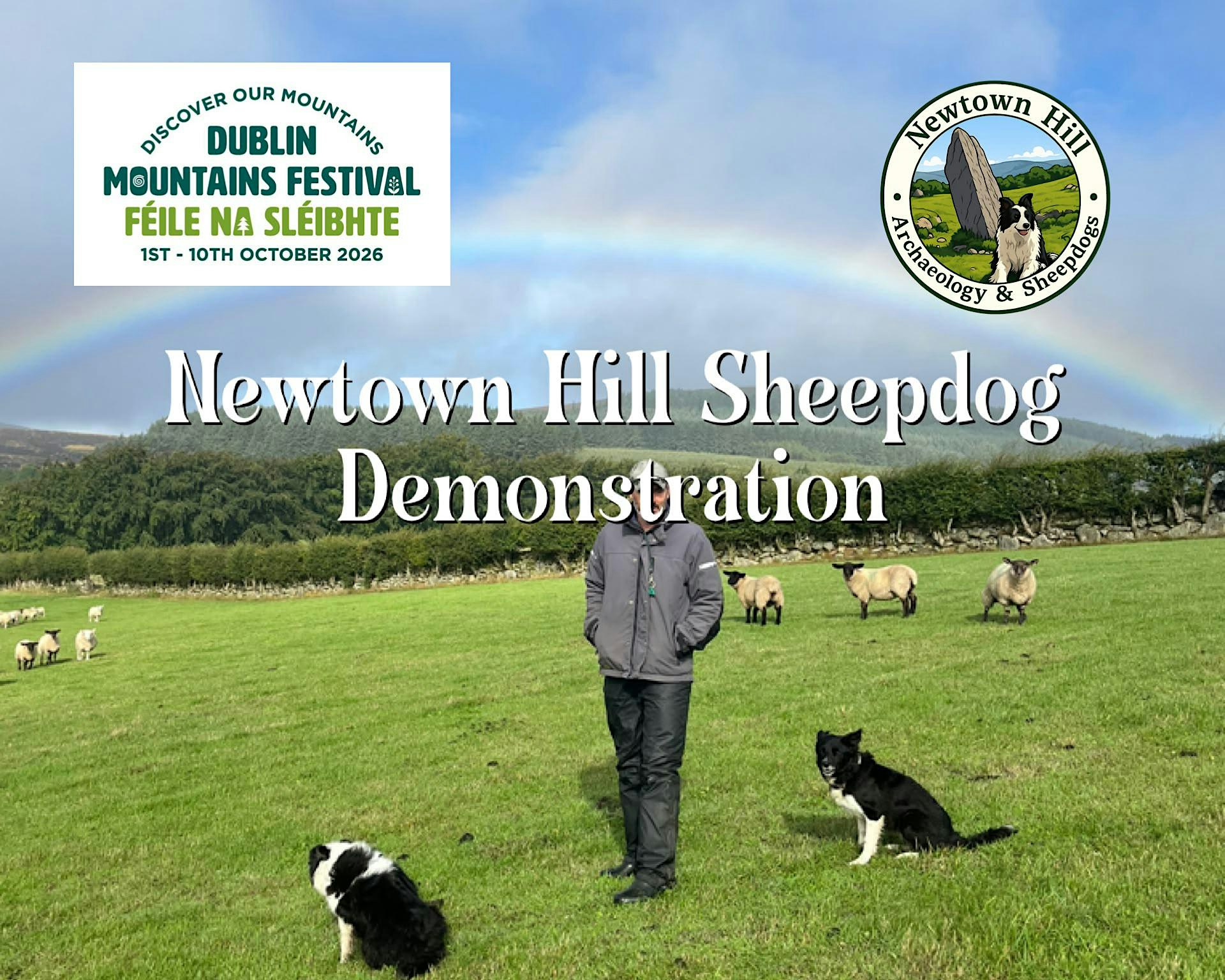 Newtown Hill Sheepdog Demonstration