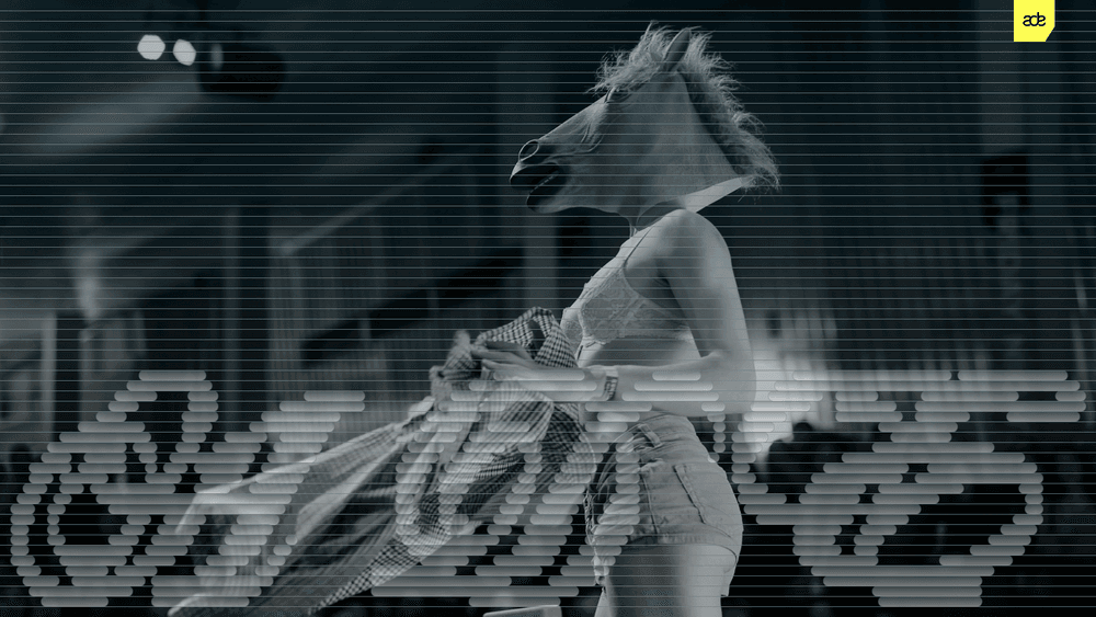 PAARDENRAVE
