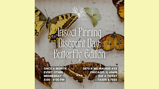Insect Pinning Discount Day: Butterfly Edition