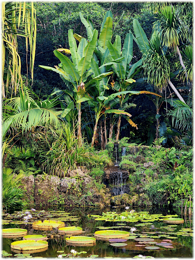 11th Independent Plant Breeders Conference