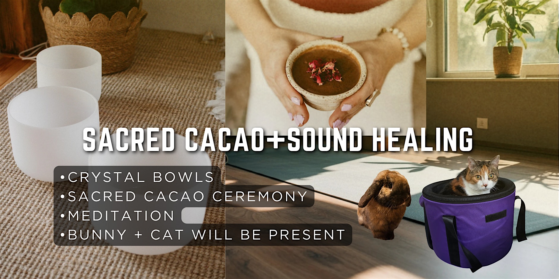 Cacao Ceremony + Sound bath Meditation + Cat & Bunny