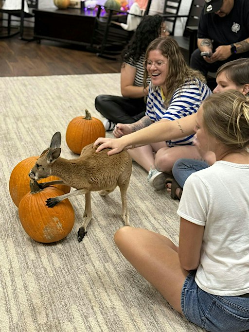 KangaBOO at Kangaroo Ranch Studio (indoor)