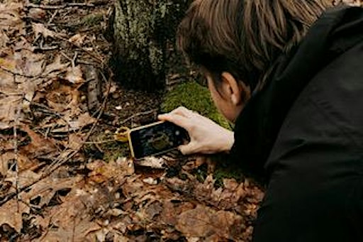 Mindful Fotograferen